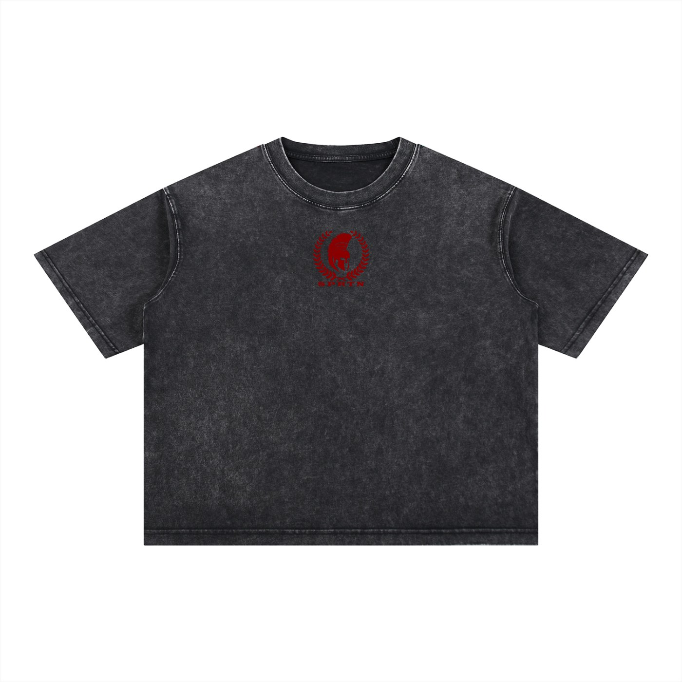 ASCEND Mineral Wash Boxy Cotton T-Shirt