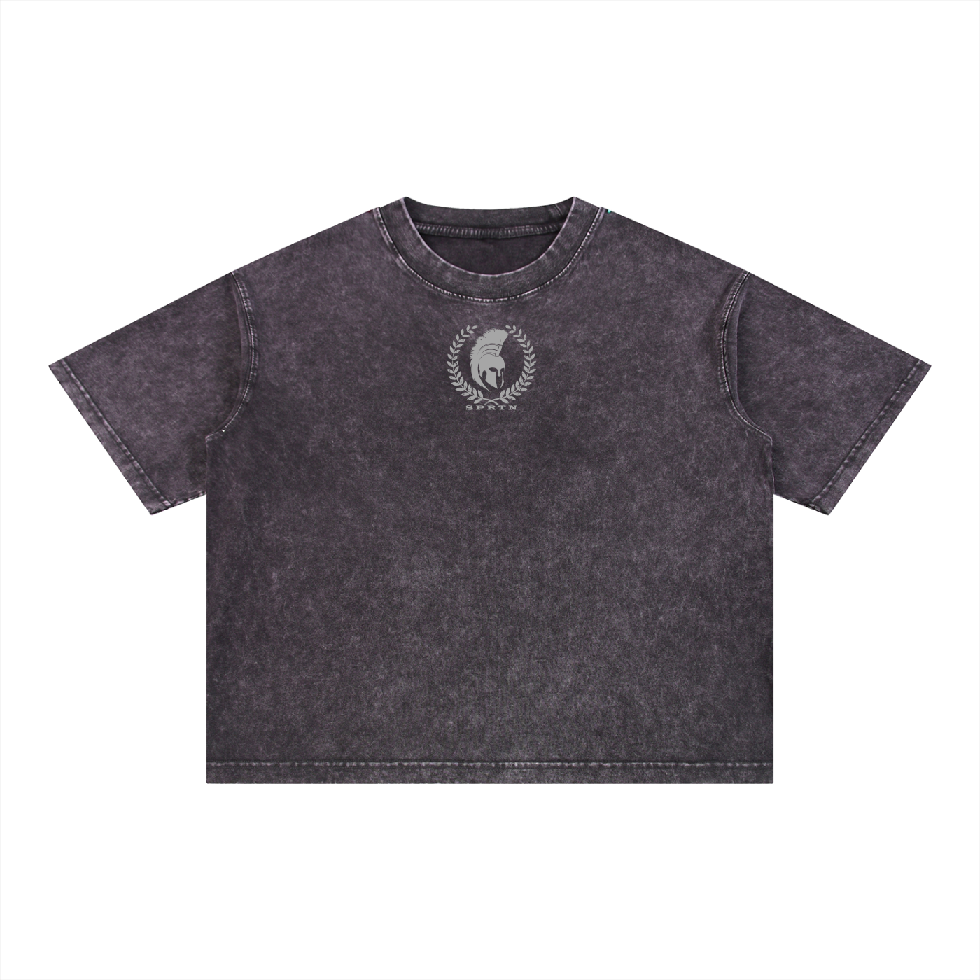 SPRTN BFW Graphic Mineral Wash Boxy Cotton T-Shirt
